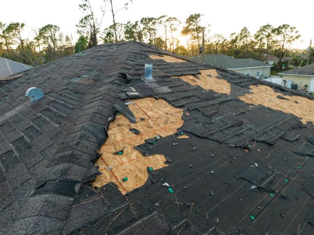 Best Emergency Roof Repair Services  in Halawa, HI