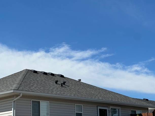 Best Roof Ventilation Installation  in Halawa, HI